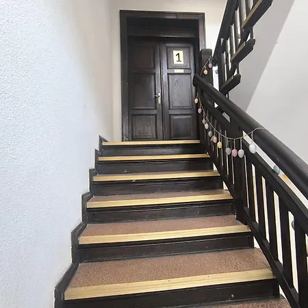 Anny Lajming 2d * Słupsk