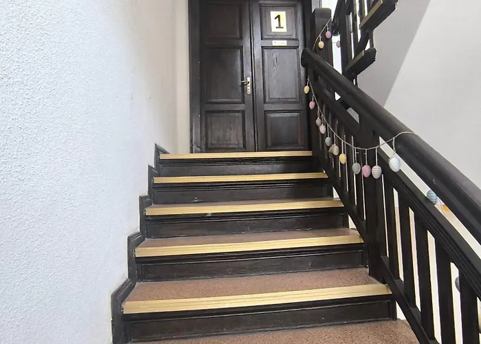 Anny łajming 2d * Słupsk